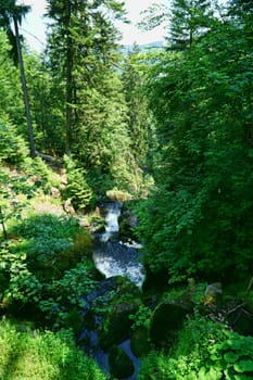 A natural spectacle of a special kind in the Black Forest,the highest waterfalls Germany in Triberg