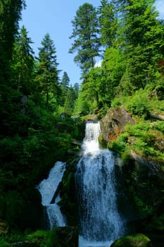 A natural spectacle of a special kind in the Black Forest,the highest waterfalls Germany in Triberg