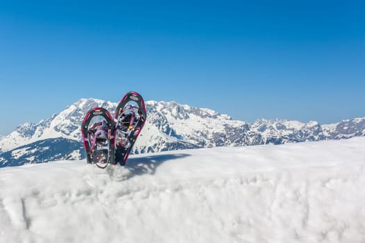 Outdoor - Snowshoeing