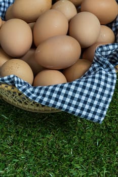 Basket contains group of chicken eggs put on grass.