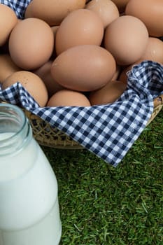 Basket contains group of chicken eggs put on grass.