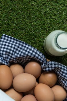 Basket contains group of chicken eggs put on grass.