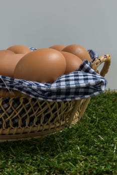 Basket contains group of chicken eggs put on grass.