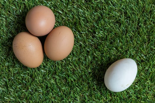 Picture illustrates minority concept in business world.