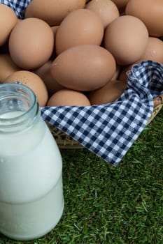 Basket contains group of chicken eggs put on grass.