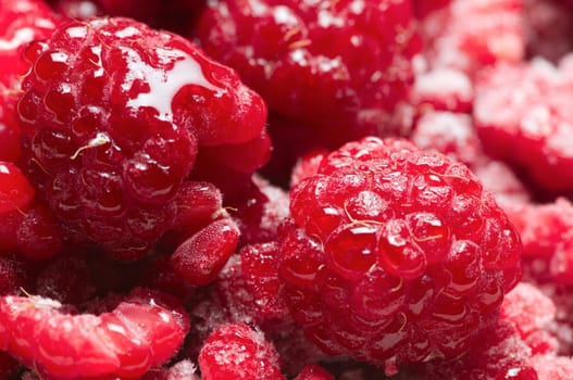 format-filling macro view of thawing raspberries with isolated frost crystals