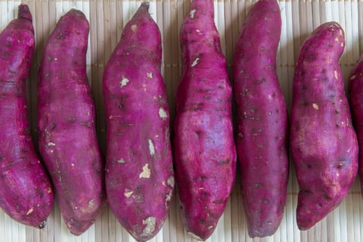 Raw sweet potatos freshly harvested from the farm.