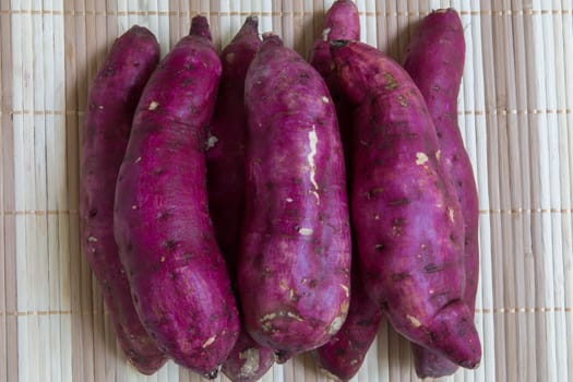 Raw sweet potatos freshly harvested from the farm.
