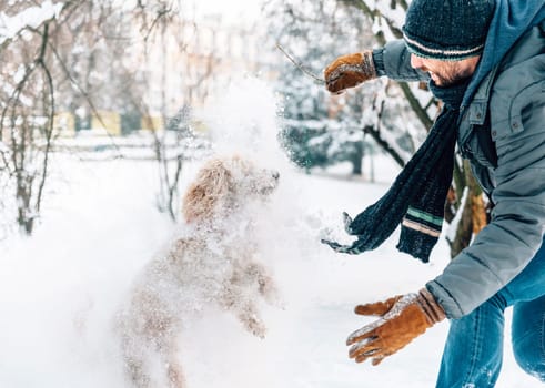 Snowball fight fun with pet and his owner in the snow. Winter holiday emotion. Cute puddle dog and man playing and running in the forest. Film filter image.
