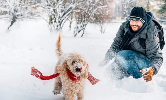 Snowball fight fun with pet and his owner in the snow. Winter holiday emotion. Cute puddle dog and man playing and running in the forest. Film filter image.