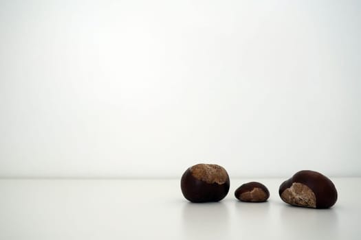 The Castanea chestnut is a small genus of trees in the Beech family Fagaceae. Chestnut fruit on a white surface with a white background. Copy space.