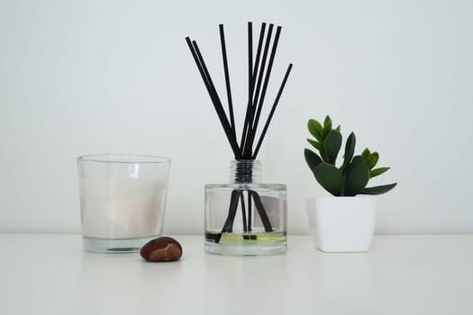 Incense sticks in a glass cubic vase with essential oils. Interior decor. White background. Chestnut fruit. Crassula plant in a pot. Scented candle in a transparent glass. Still life composition.