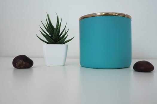 A composition of a jar of bath salts, an artificial indoor flower of aloe or Kalanchoe, and several chestnut fruits. Still life of decor items for a living room, bedroom or bathroom.