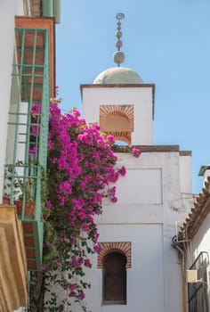 Islamic minaret at historic quarter, Cordoba, Andalusia, Spain