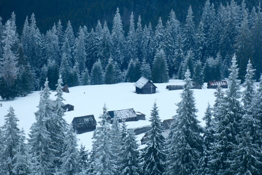 Mountain meadow covered with snow. Mountain village. Wooden houses on the mountain edge covered with snow. Landscape with snow-covered mountain village. Rural village in coniferous forest