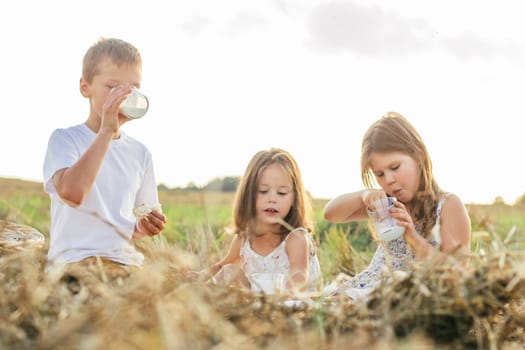 Portrait of joyful boy and two girls sitting on blanket in field, having picnic, drinking milk and eating bread. Relaxing time. Talking, laughing. Light sunny day