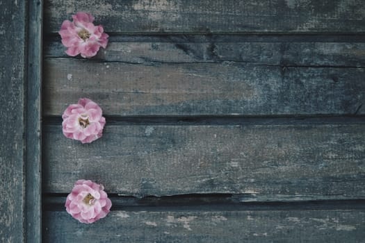 Buds of spray pink terry roses on a wooden background. Three beautiful roses are laid out on the table in a vertical line. Copy space for text. Postcard, surface layout