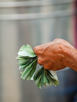 Close up of an elderly woman's hands holding money