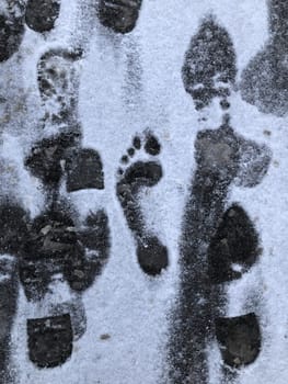 among the footprints the footprint of the bare feet of a bigfoot in the snow