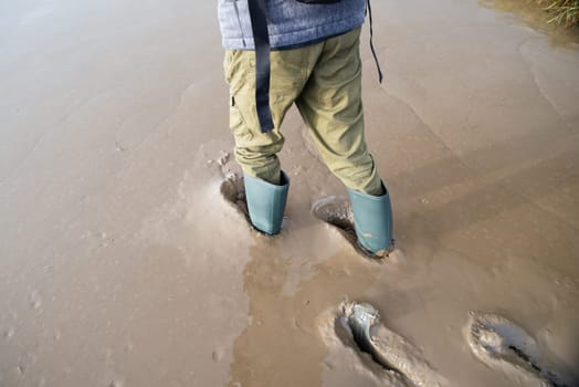 Man is walking with gumboots on the wadden sea, north sea on island Romo in Denmark, foreshore and mudflats on the coast, intertidal zone