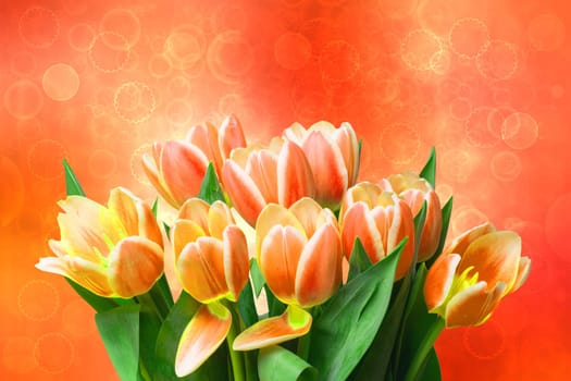 Greeting card template. Closeup of a fresh beautiful red yellow tulips bouquet over abstract blurred pastel background. Space. Spring, valentine, mothers or wedding day card. Macro.