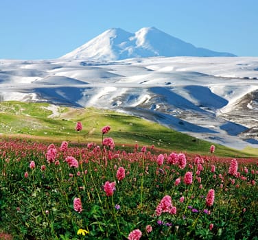 The highest peak in Europe is Mount Elbrus,altitude 5642 meters.