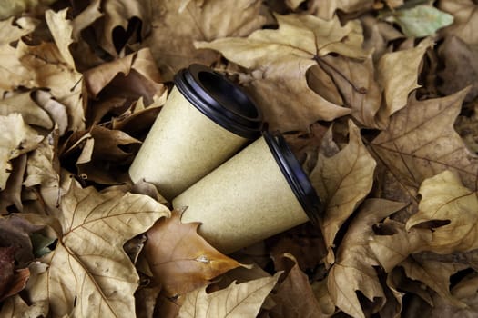 Detail of glass of coffee thrown in a forest, environment