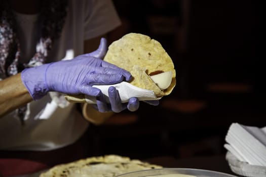 Detail of typical Mexican food