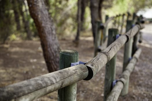 Path detail for people in nature