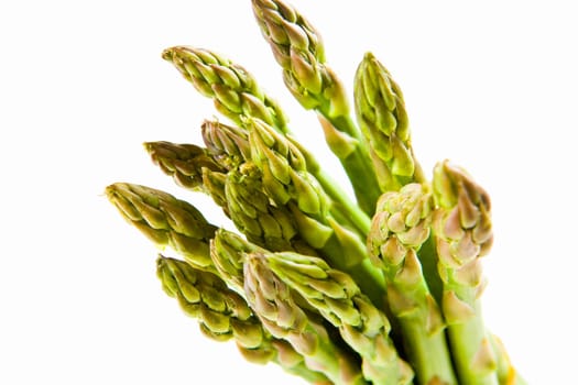 Bunch of a asparagus tips on a white background