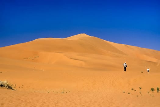Africa, Namibia, Hardap, Namib Naukluft Park, Deadvlei