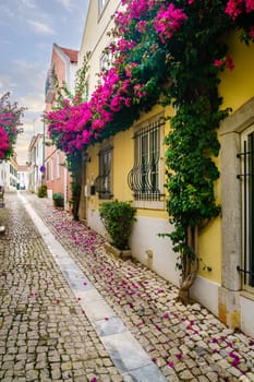Pedestrian cobblestone street in Cascais, Portugal