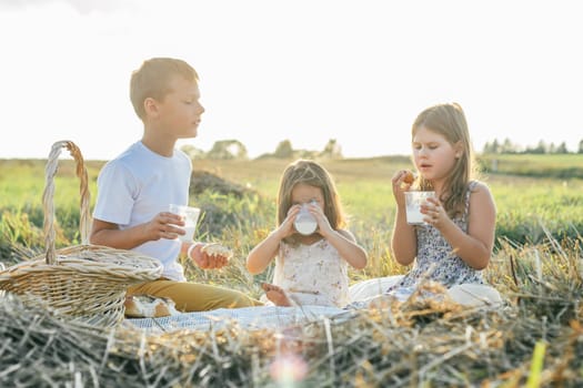 Happy friends eat food and drink milk sitting on blanket on field. Silhouettes of little children on sunlight. Tasty and nutritious outdoor picnic. Summer vacation, countryside lifestyle.