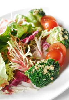 fresh vegetable salad