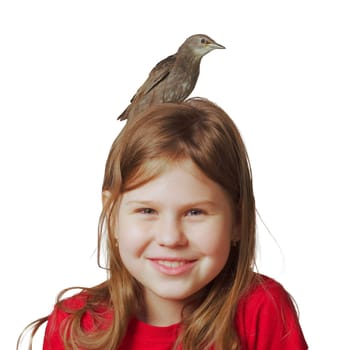 Grown up starling nestling sitting on head of joyful little girl. Portrait of smiling child isolated on white. Kid play with baby bird. Bird care, protection, love animals. Spring songbird.