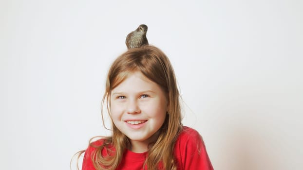 Grown up starling nestling sitting on head of glad little girl. Portrait of happy child on white. Nest on human head. Kid play with baby bird. Bird care, protection, love animals. Spring songbird.