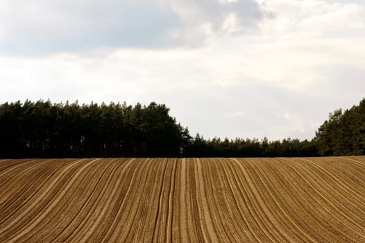 The tracks and furrows caused by tractor tyres in a hilly field.