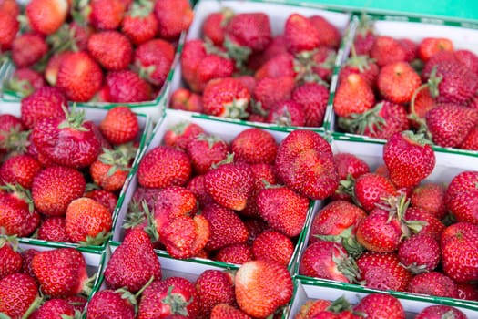 Swedish Strawberries in Boxes side by side.