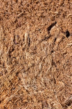 The tree bark as a natural  background