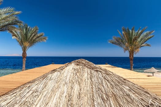The beach at the luxury hotel, Sharm el Sheikh, Egypt. top view of the wooden roof