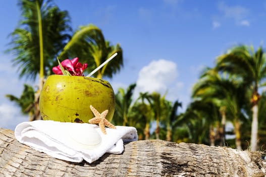 Coconut with drinking straw on a palm tree at the sea