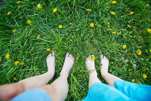 Legs of kids standing in green grass with yellow dandelions