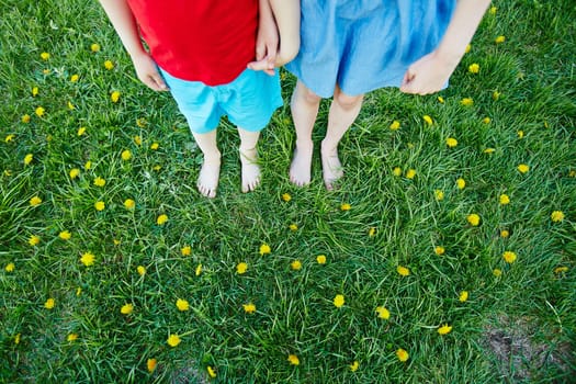 Legs of children standing on green lawn with yellow dandelions