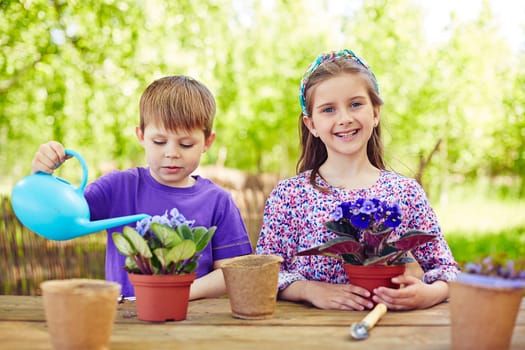 Two youngsters taking care of violets in the garden