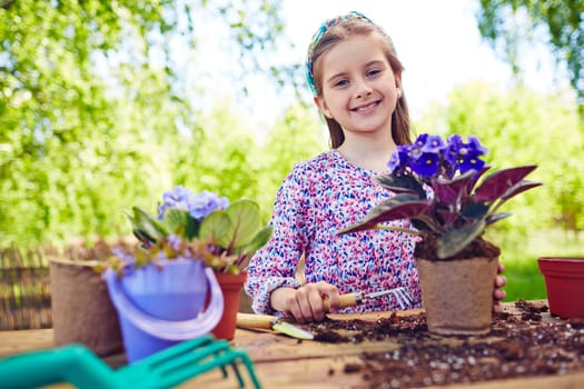 Cute little girl replanting African violets