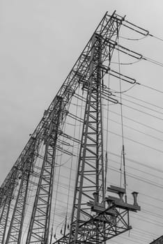 Electricity transmission lines in monochrome at sunset