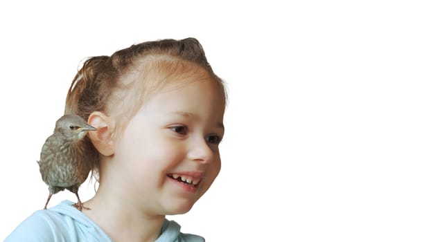 Grown up starling nestling sitting on shoulder of smiling little girl. Portrait of happy child isolated on white. Kid play with baby bird. Bird care, protection, love animals. Spring songbird.