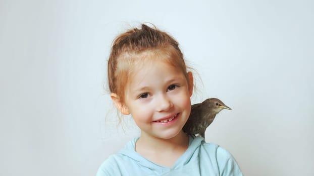 Grown up starling nestling sit on shoulder of little girl and sing with open beak. Portrait of happy child on gray. Kid play with baby bird. Bird care, protection, love animals. Spring songbird.