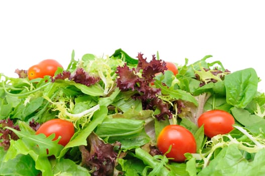 Background of salad leaves and cherry tomatoes with copyspace
