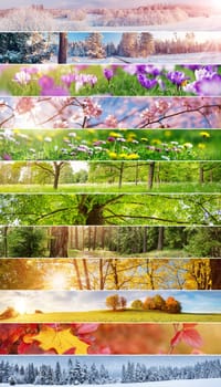 Collage of the panoramic photos of the twelve months of the year. Concept of the calendar and background.